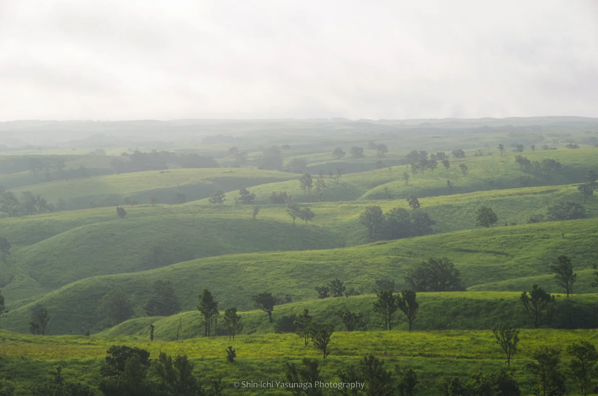 投稿写真：熊本県南小国町・押戸石からの眺め