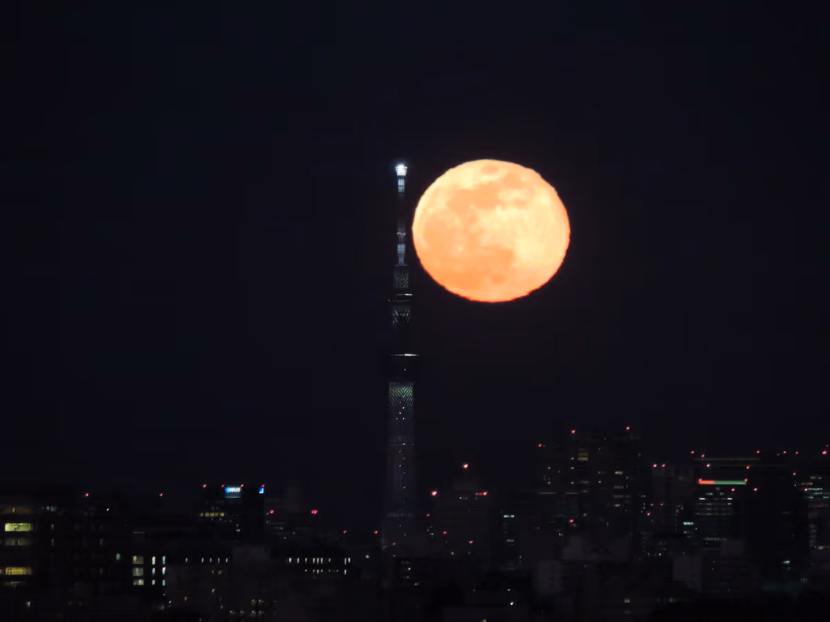投稿写真：パールスカイツリー