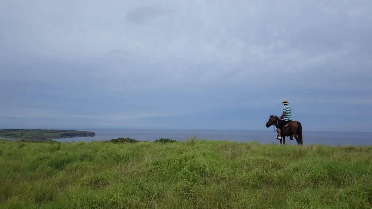 投稿写真：天上の草原