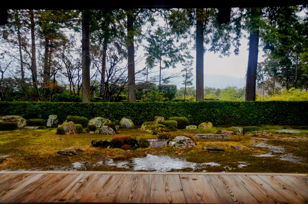 投稿写真：圓通寺庭園