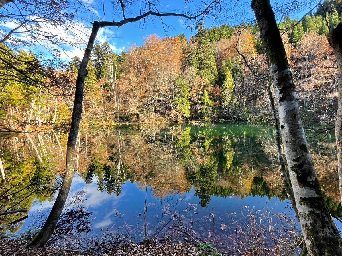 投稿写真：鏡面の龍ヶ窪