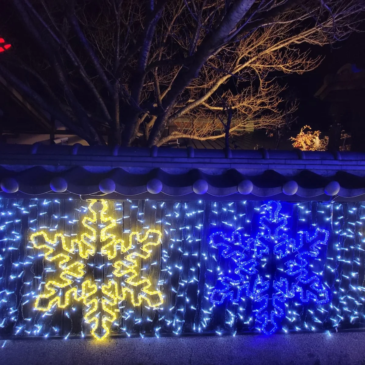 投稿写真：さんスパ　イルミネーション