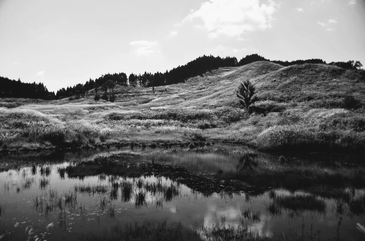 投稿写真：砥峰高原