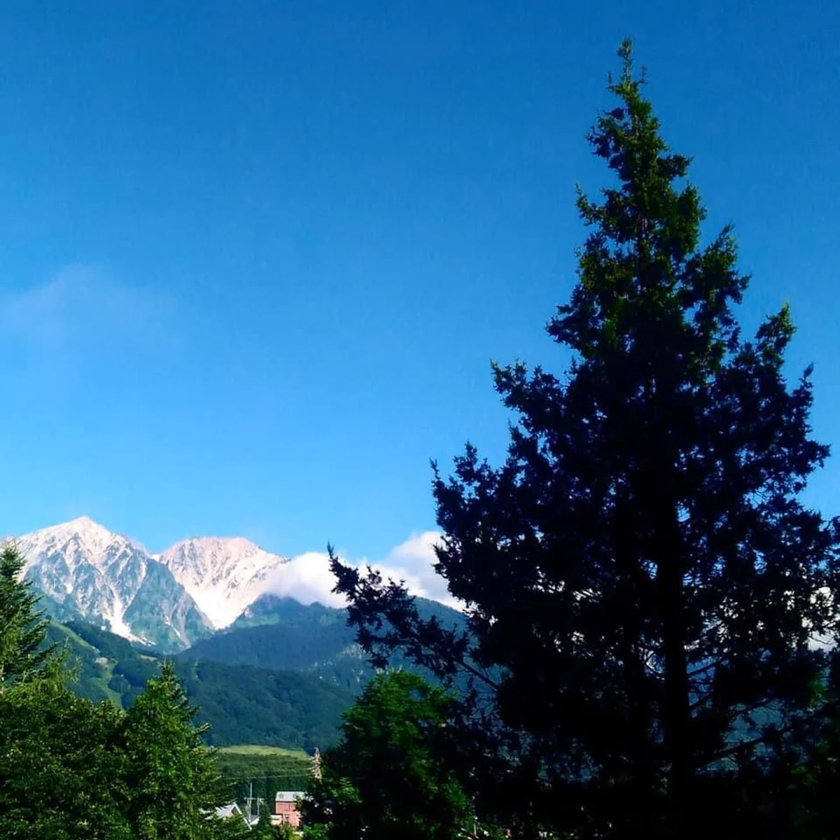 投稿写真：長野県白馬村