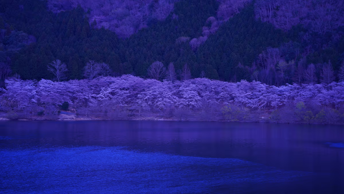 投稿写真：八千代湖