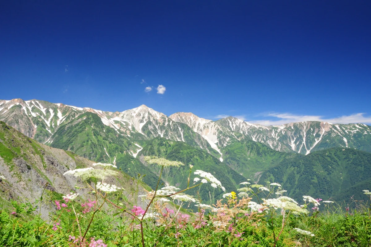 投稿写真：白馬三山