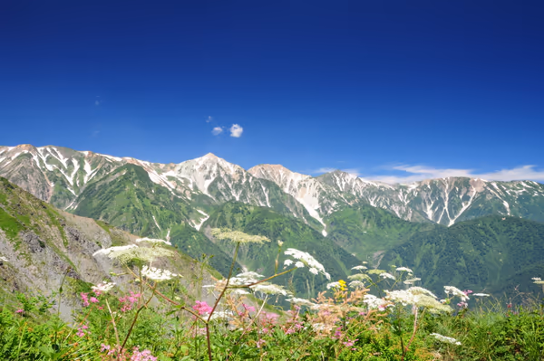 投稿：白馬三山