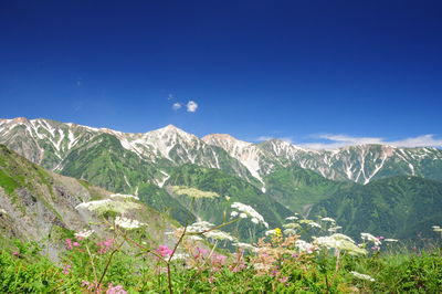  | 絶景事典