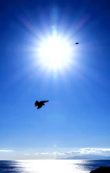投稿：江ノ島神社〜2018年、初詣の際の写真№2