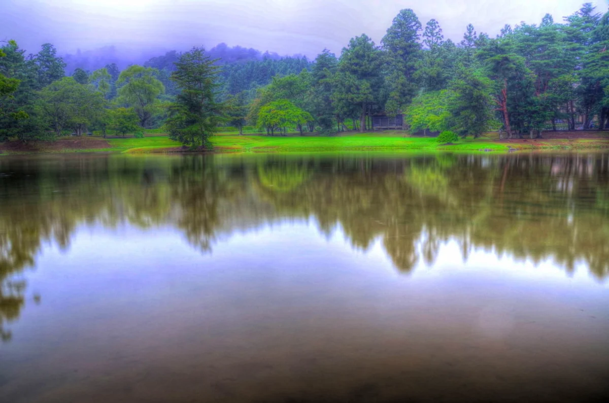 投稿写真：平泉　観自在王院跡
