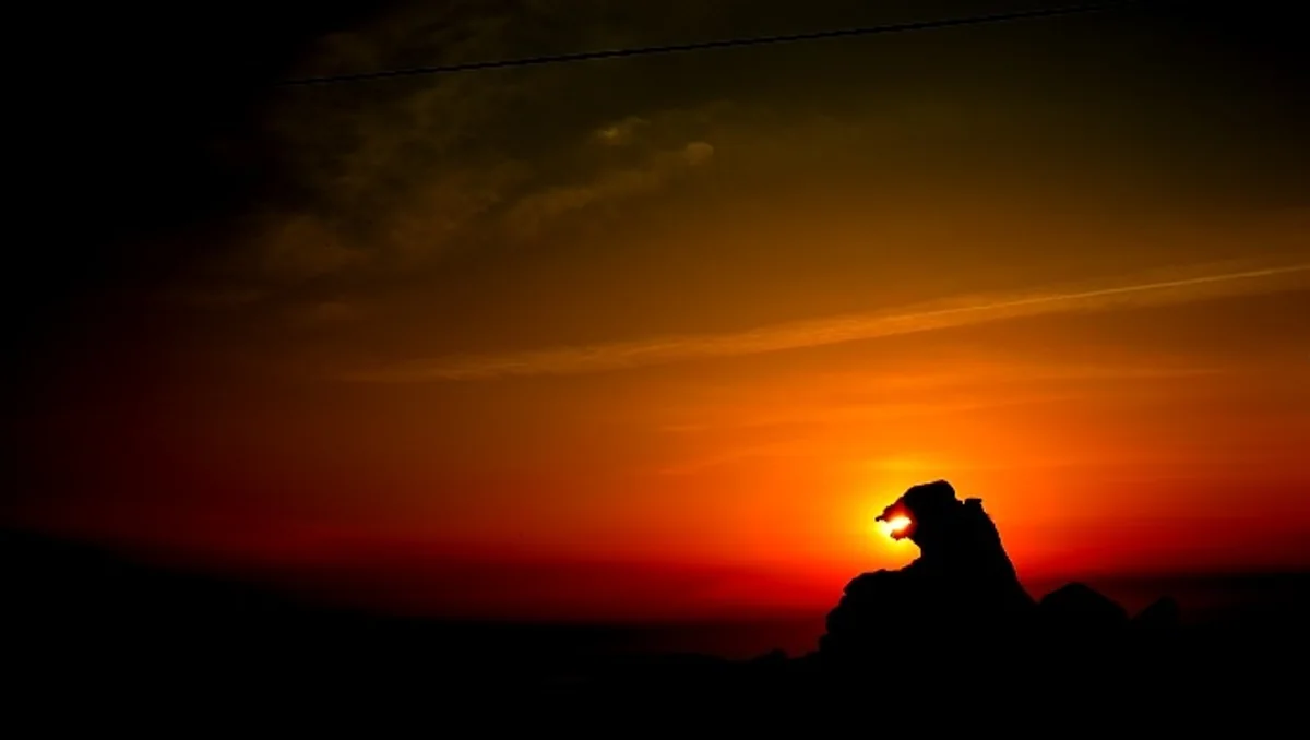 投稿写真：ゴジラ岩