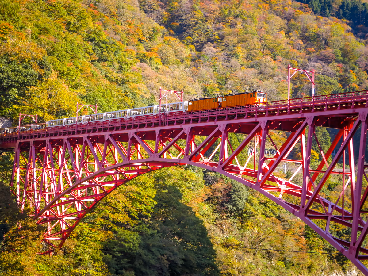 投稿写真：錦繍の黒部峡谷を渡るトロッコ列車