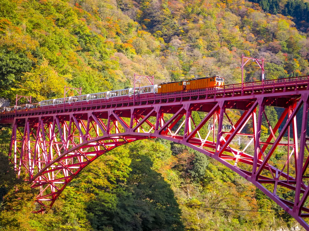 投稿写真：錦繍の黒部峡谷を渡るトロッコ列車