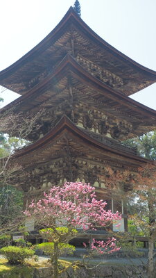  | 絶景事典