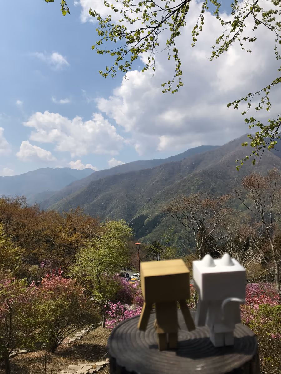 投稿写真：三峰山　の朝