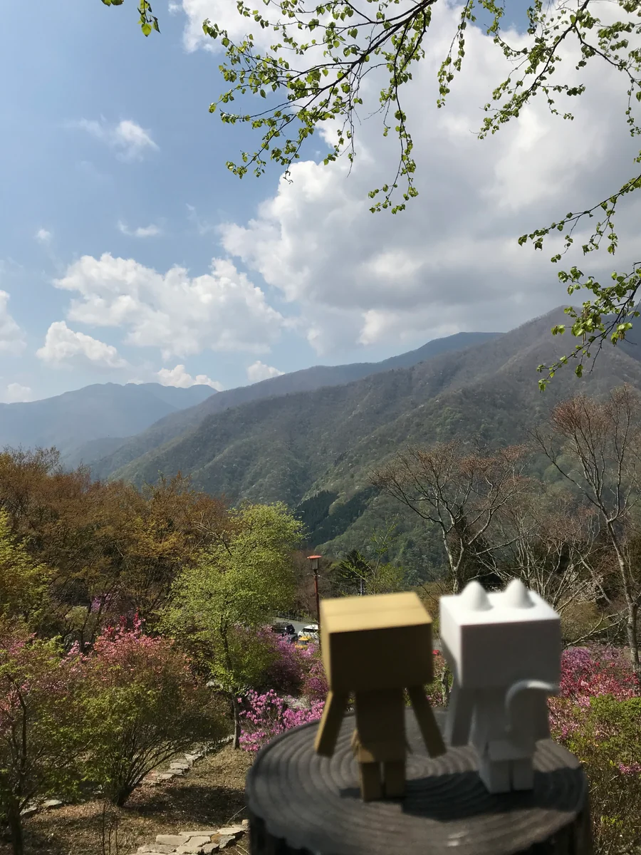 投稿写真：三峰山　の朝