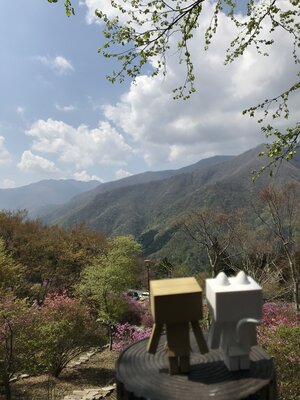  | 絶景事典