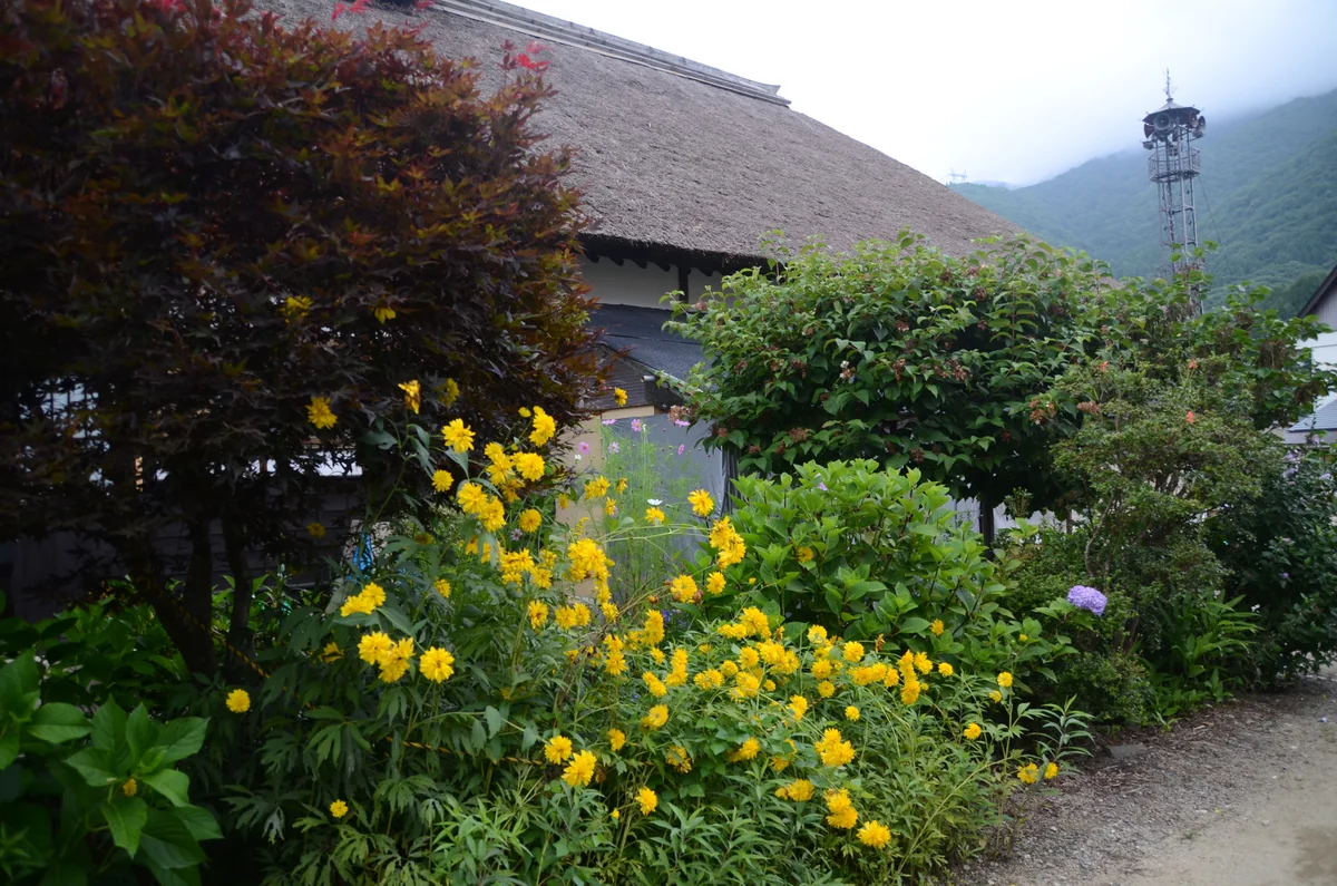 投稿写真：大内宿　夏の花