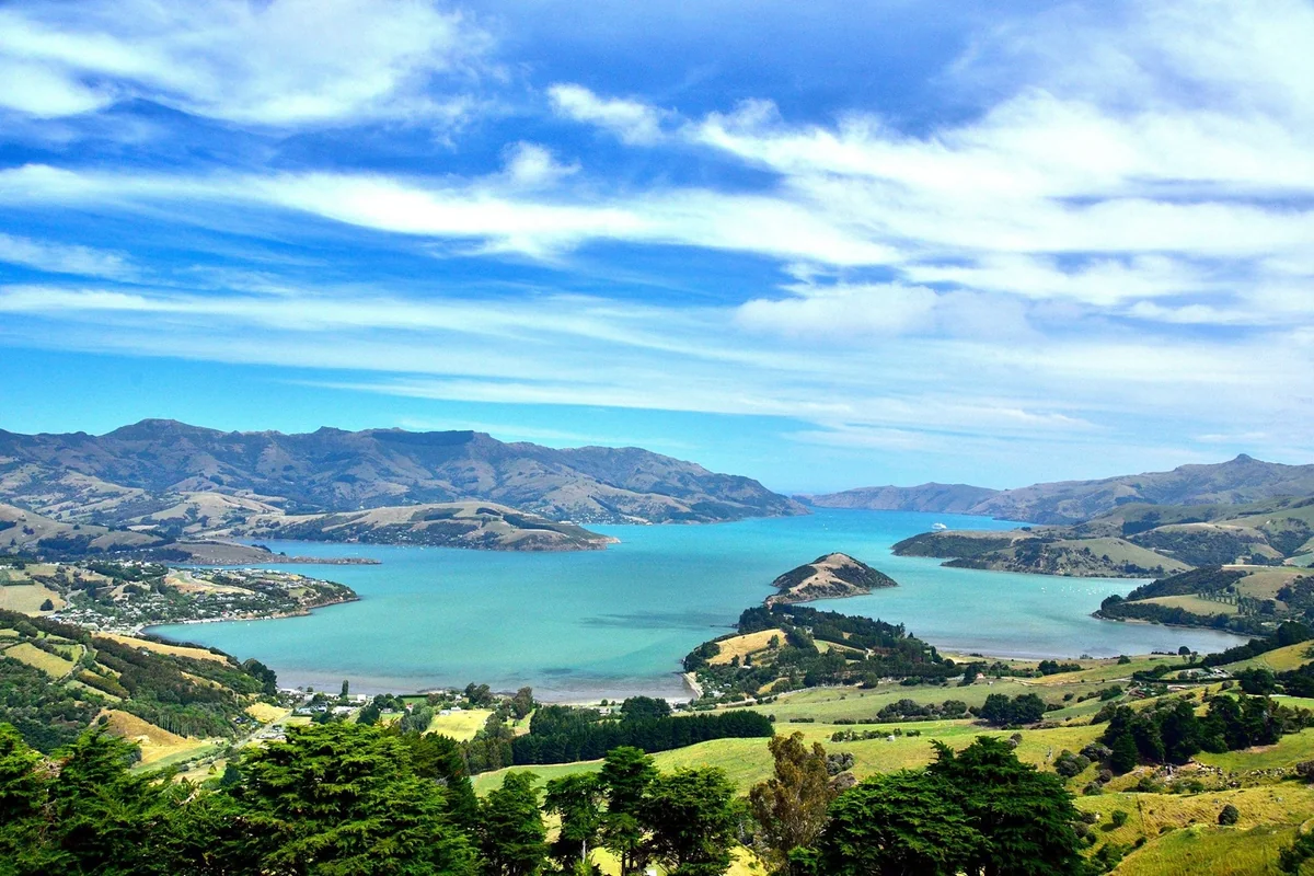 投稿写真：アカロア