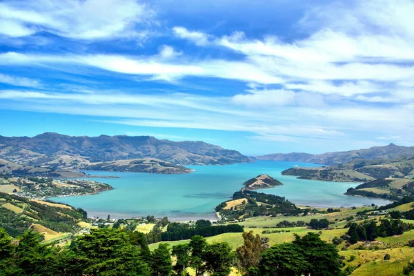 投稿：アカロア