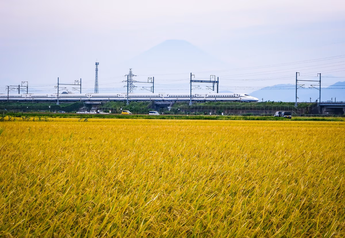 投稿写真：実りの秋を走る東海道新幹線N700S