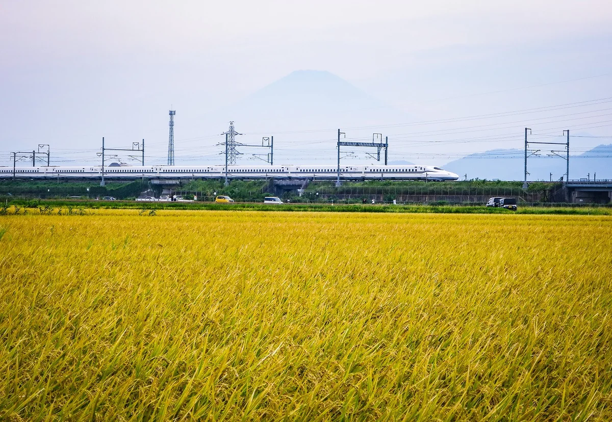 投稿写真：実りの秋を走る東海道新幹線N700S