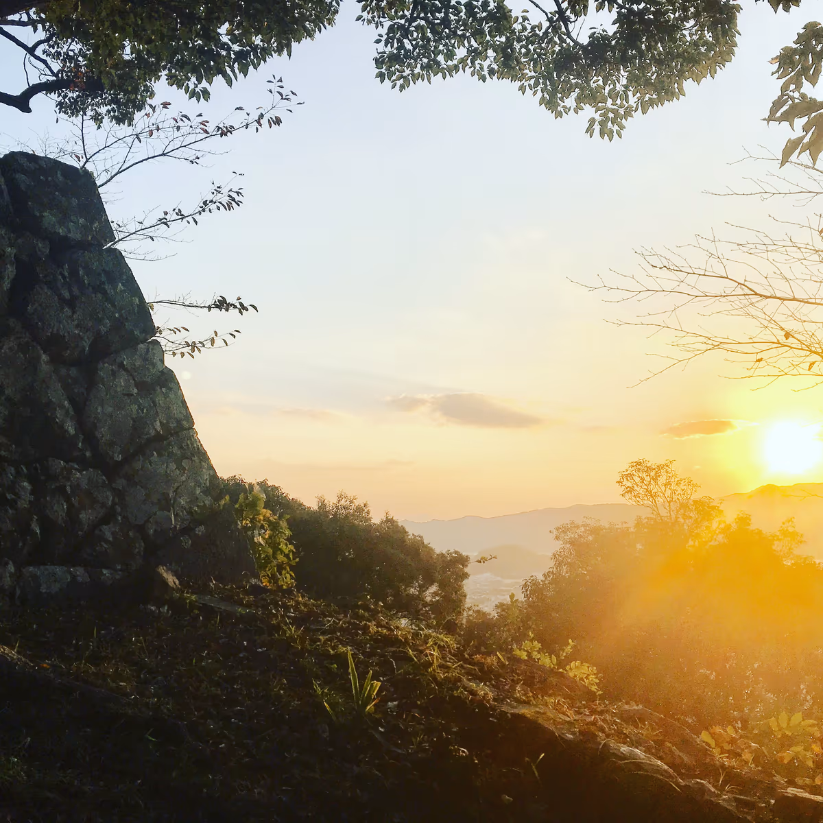 投稿写真：佐伯城