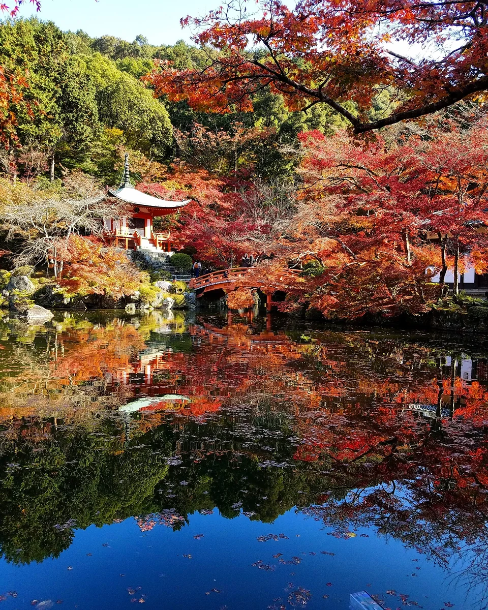 投稿写真：醍醐寺