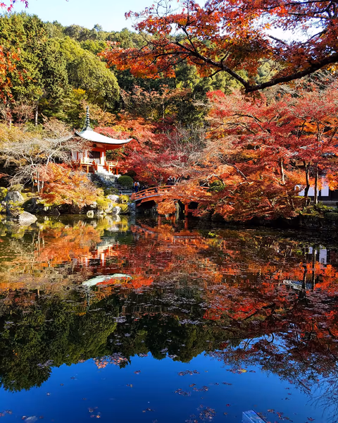 投稿：醍醐寺