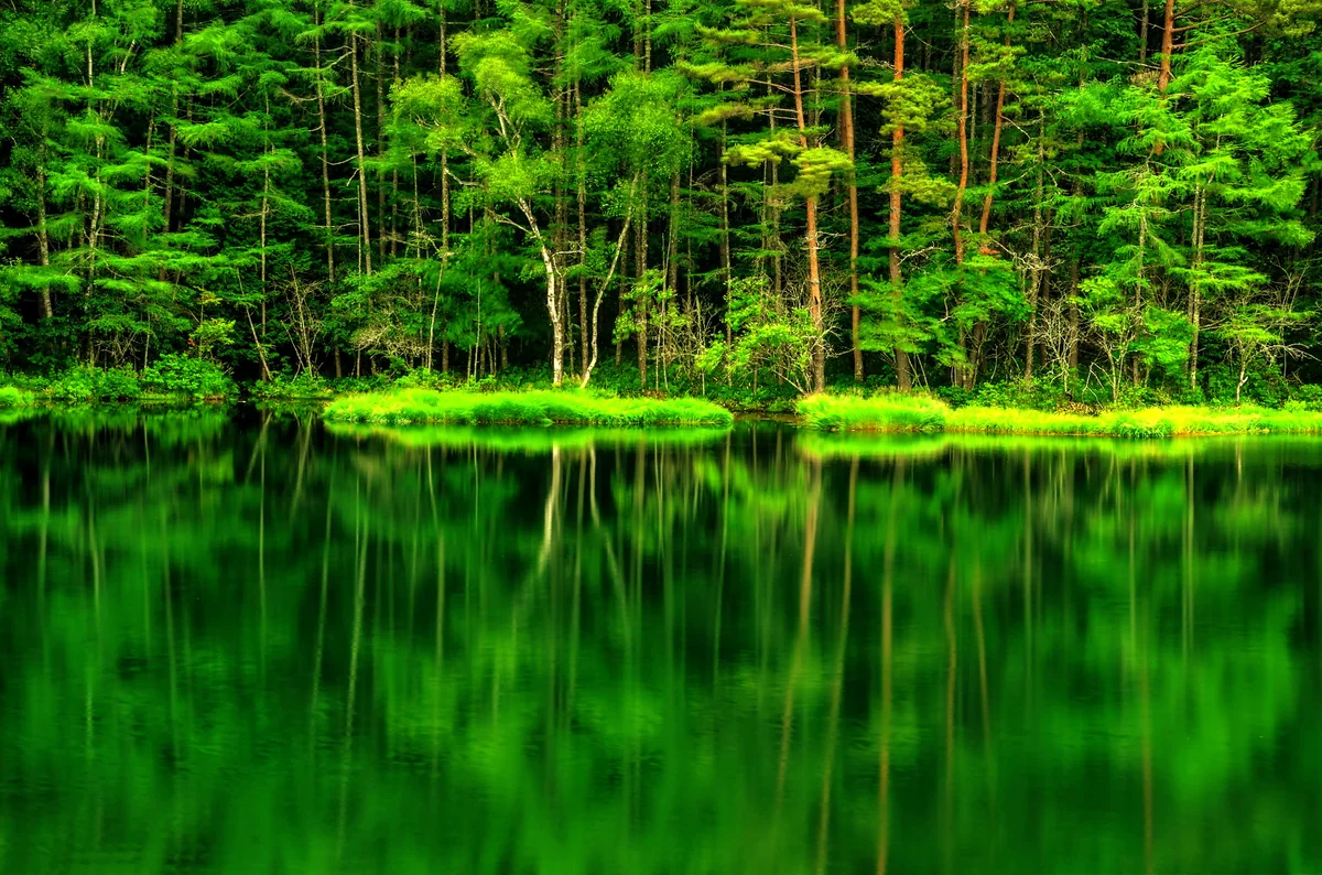 投稿写真：夏の御射鹿池