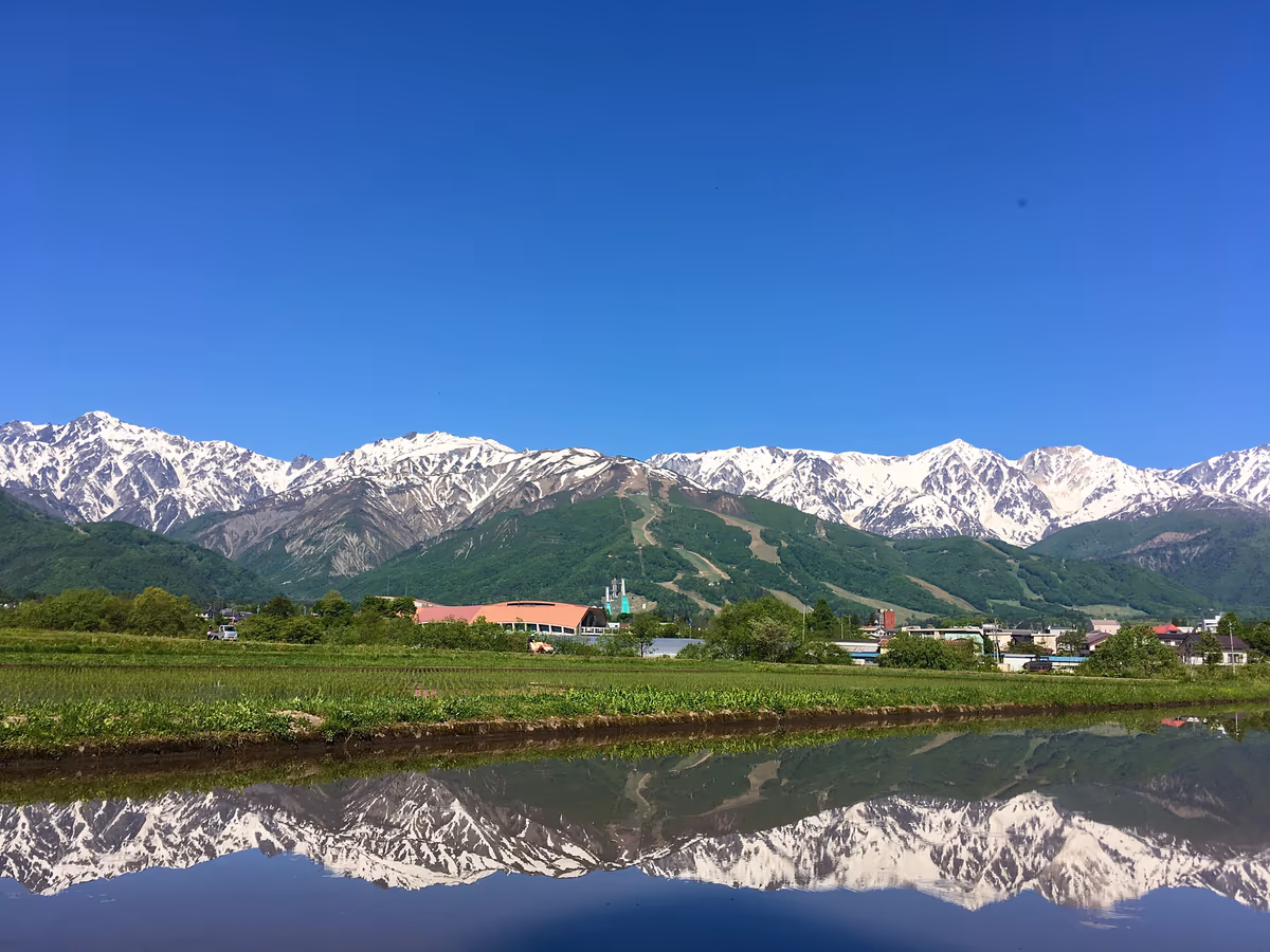 投稿写真：初夏の白馬連峰 八方尾根スキー場