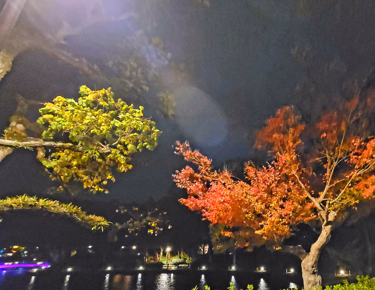 投稿写真：もみじとお堀