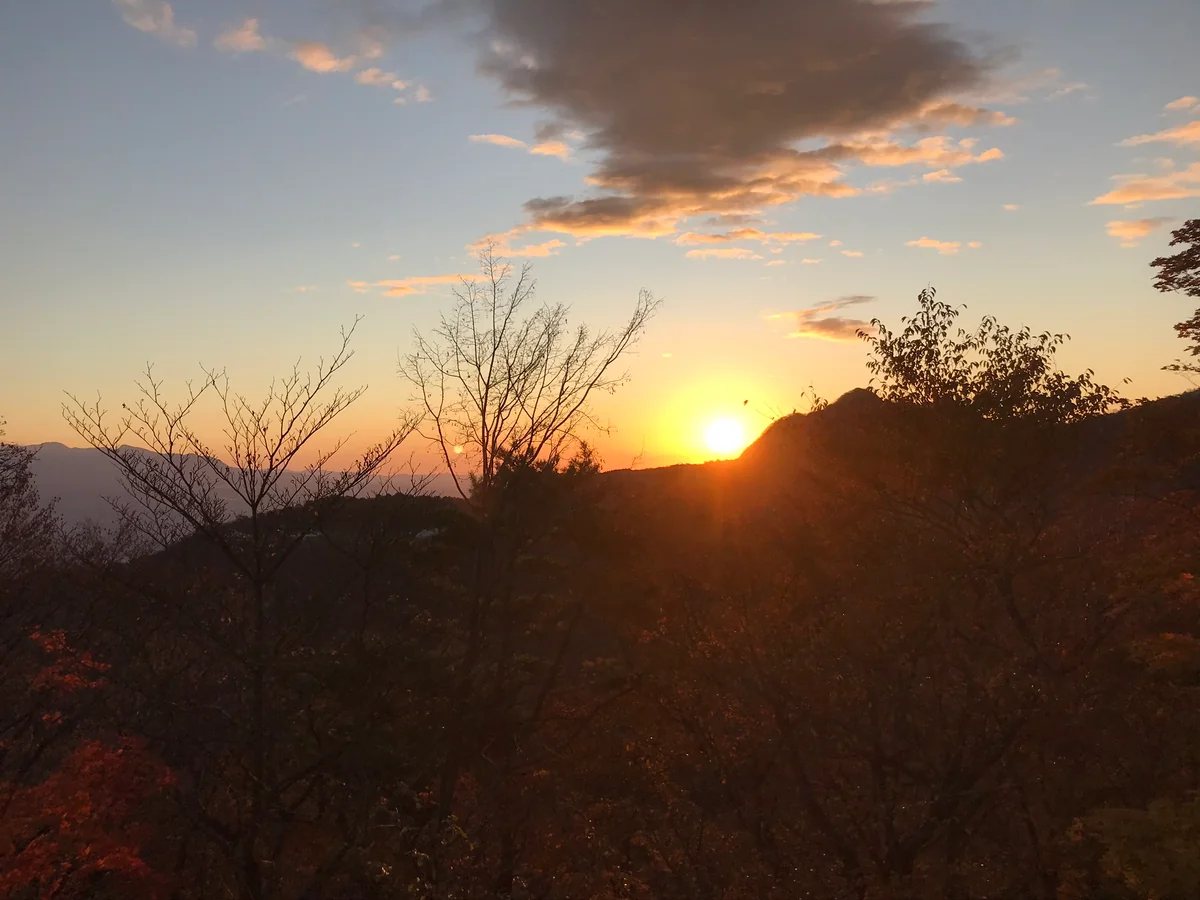 投稿写真：朝日