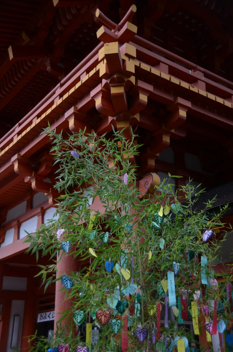 投稿写真：七夕飾り