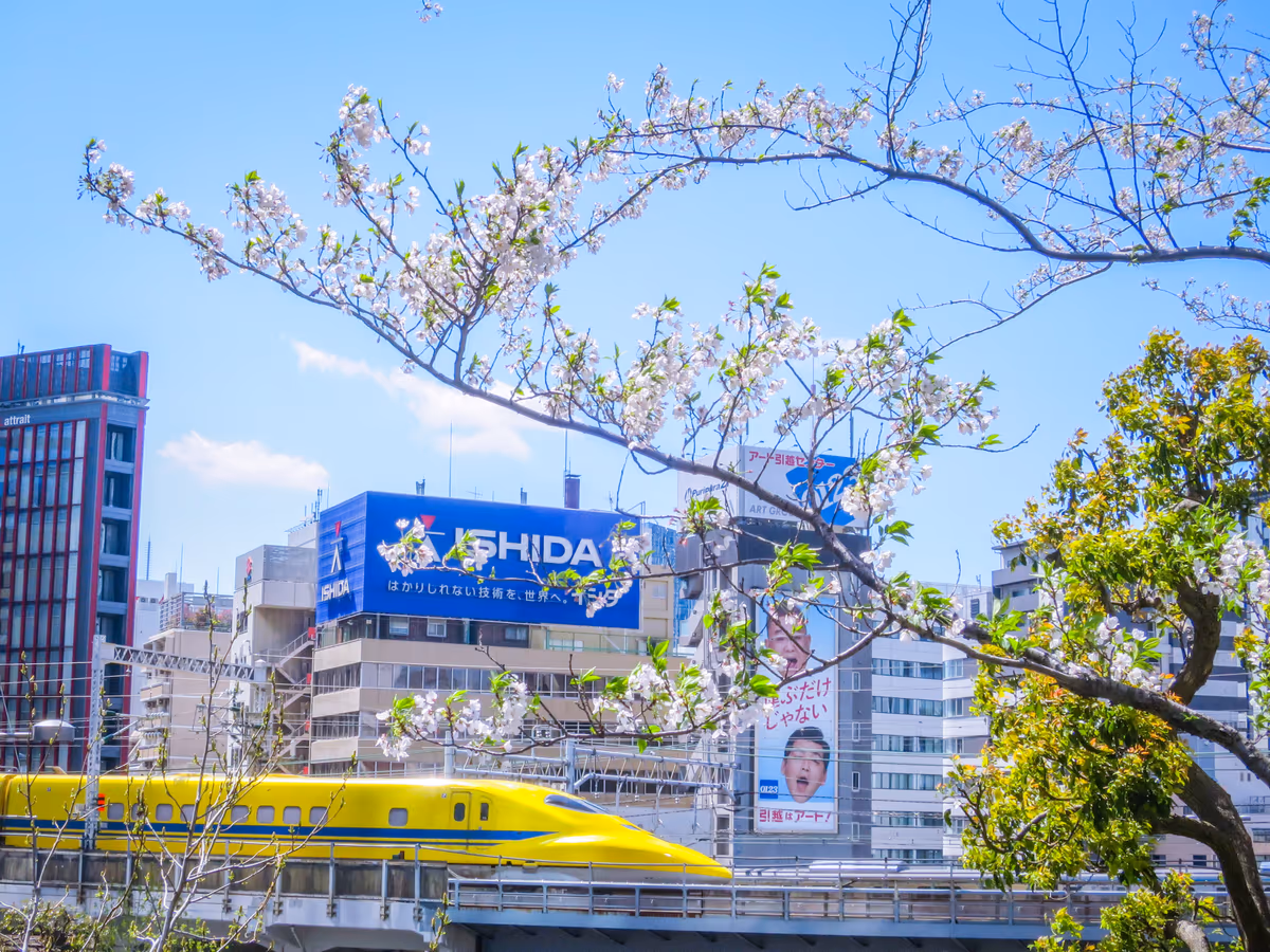 投稿写真：満開の桜とドクターイエロー④
