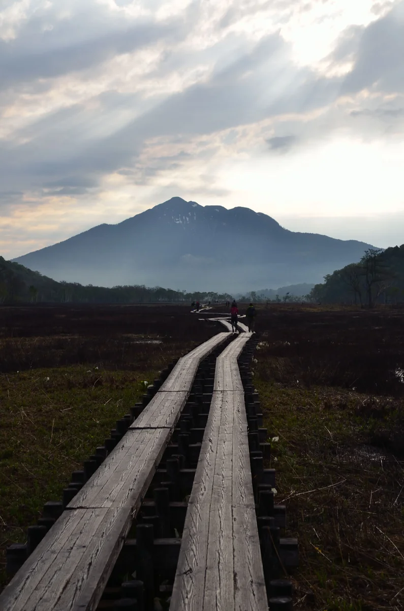 投稿写真：尾瀬　はるかに続く道