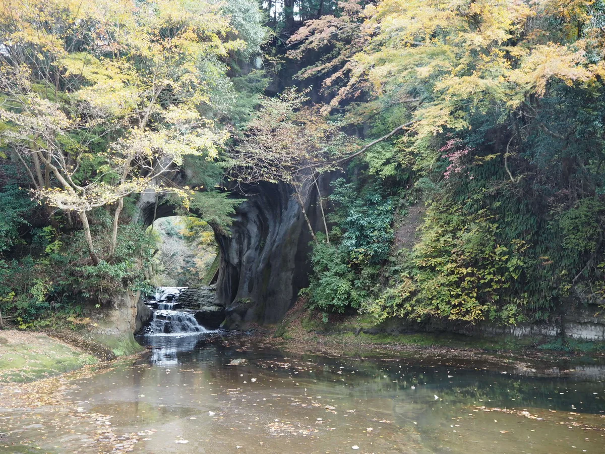 投稿写真：千葉近辺