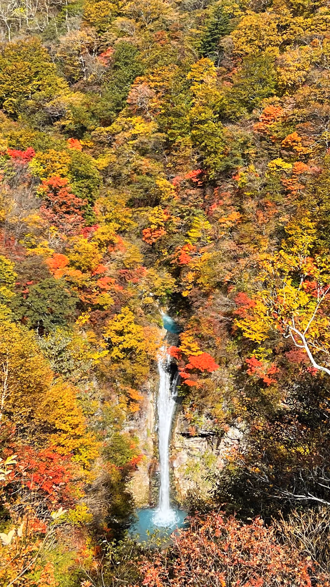 投稿写真：駒止の滝