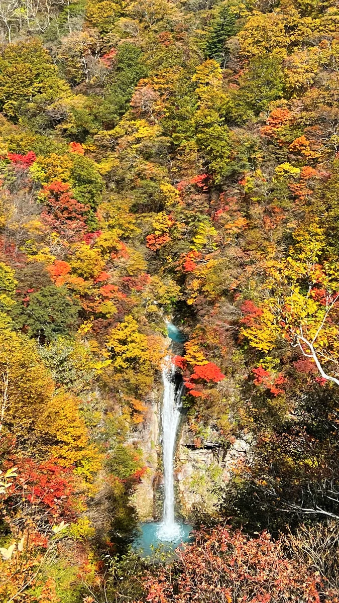 投稿写真：駒止の滝