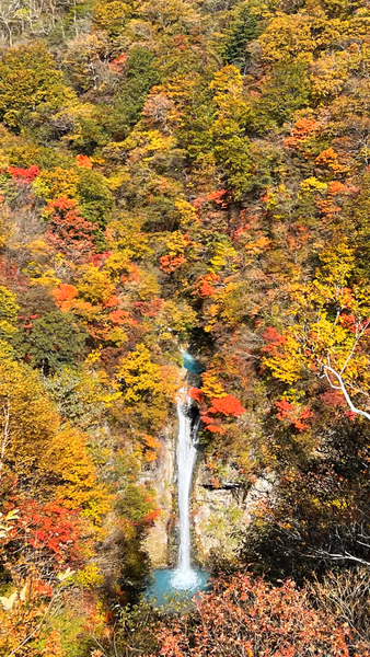 投稿：駒止の滝