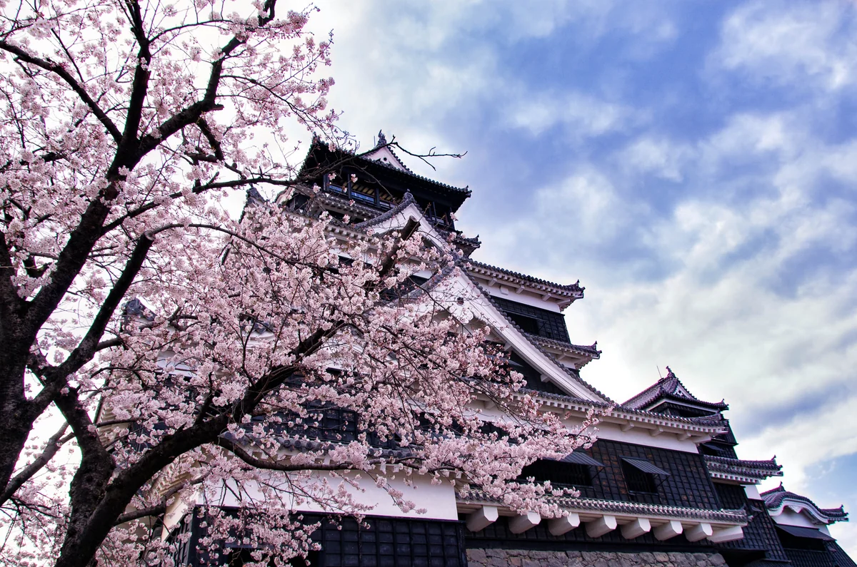 投稿写真：威風堂々