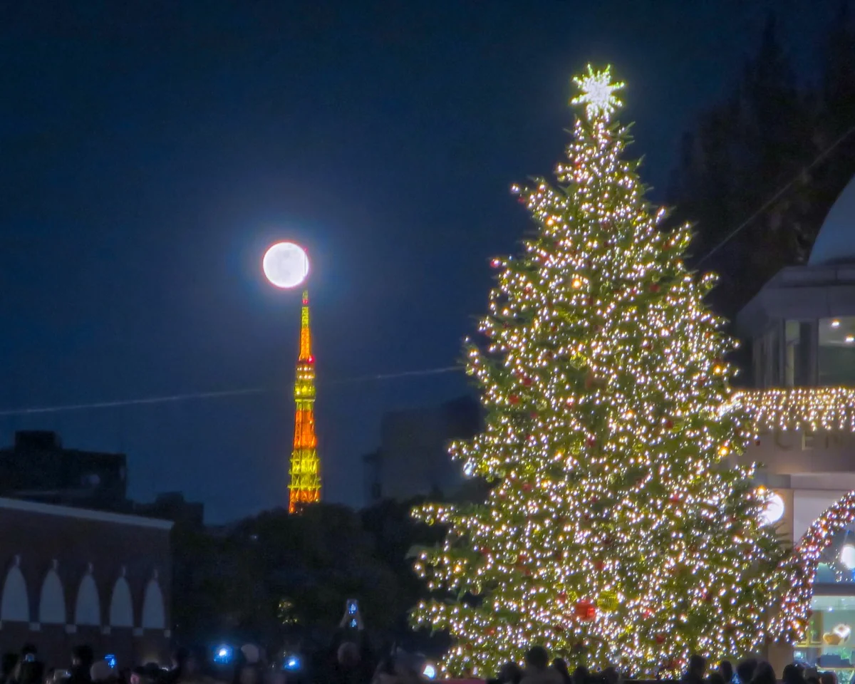 投稿写真：十六夜月パール東京タワーとクリスマスツリー