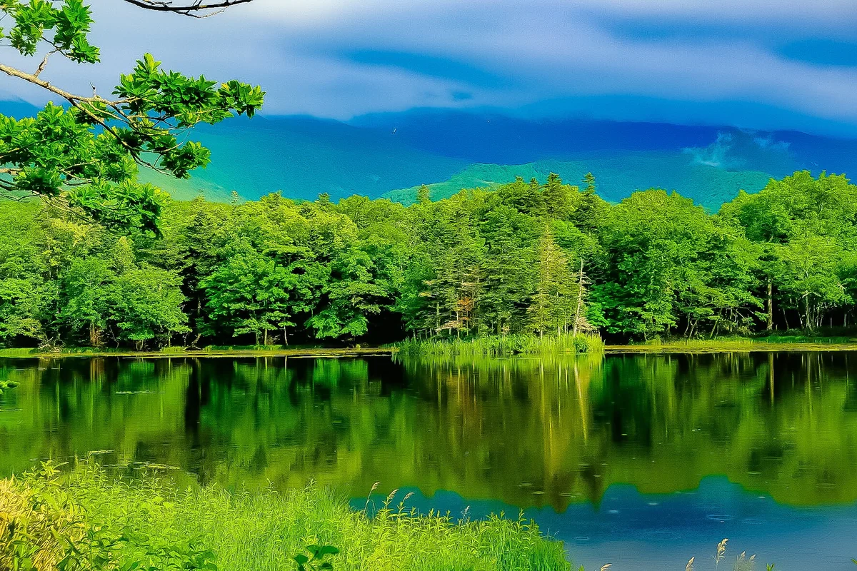 投稿写真：知床五湖 -三湖-