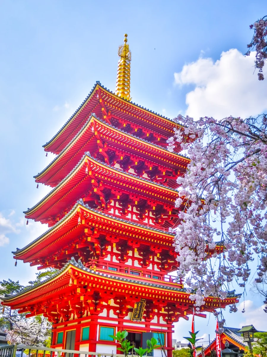 満開の桜と五重塔 | 絶景事典