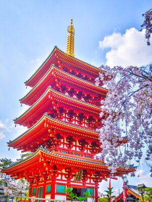  | 絶景事典