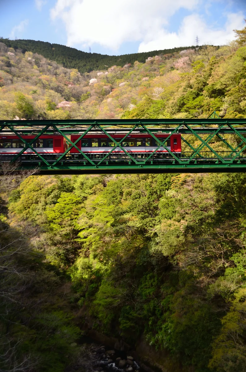 投稿写真：箱根登山鉄道　鉄橋