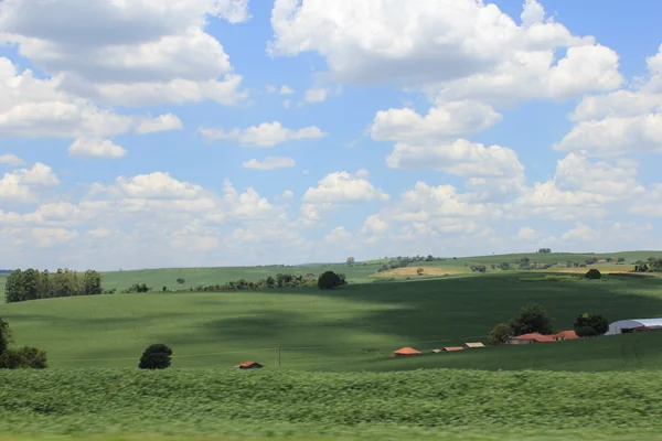 投稿：どこまでも続く草原