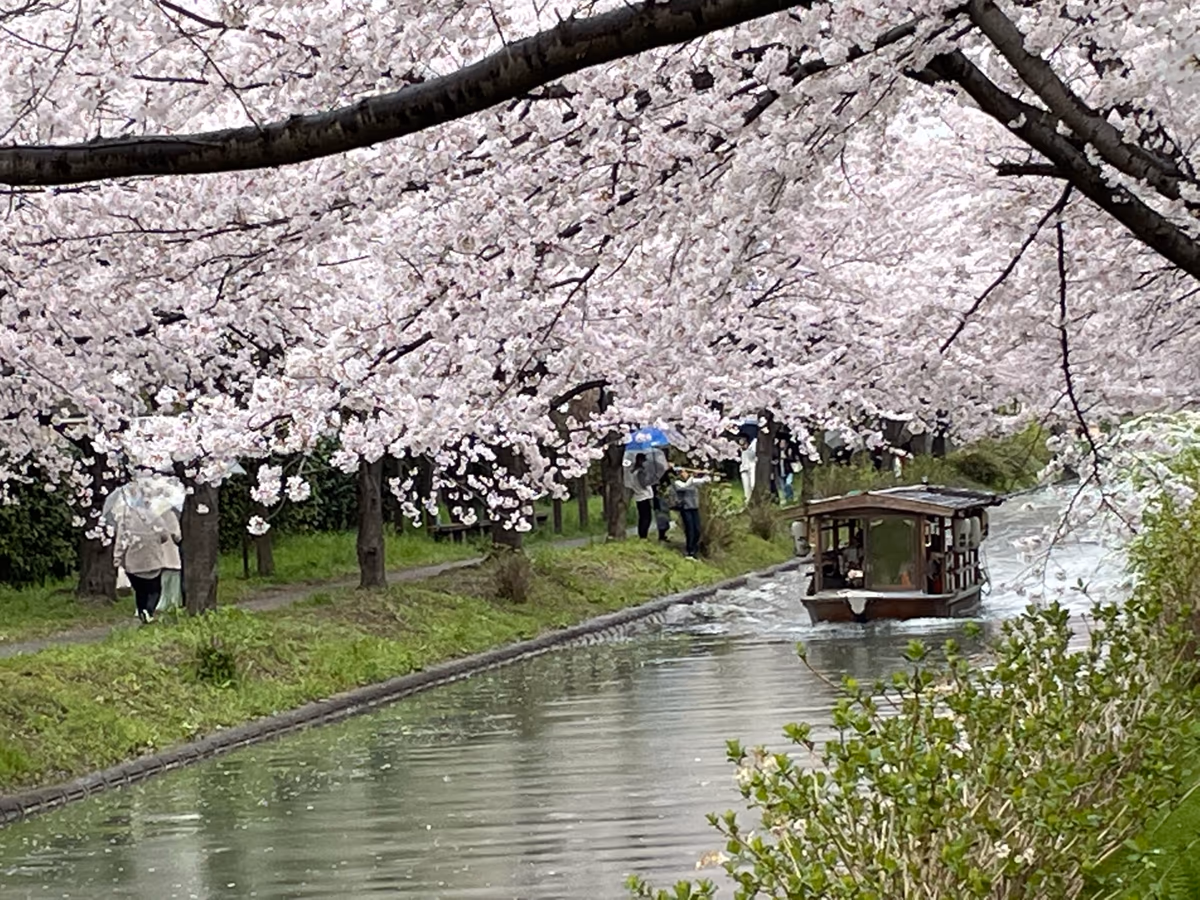 投稿写真：伏見十石船