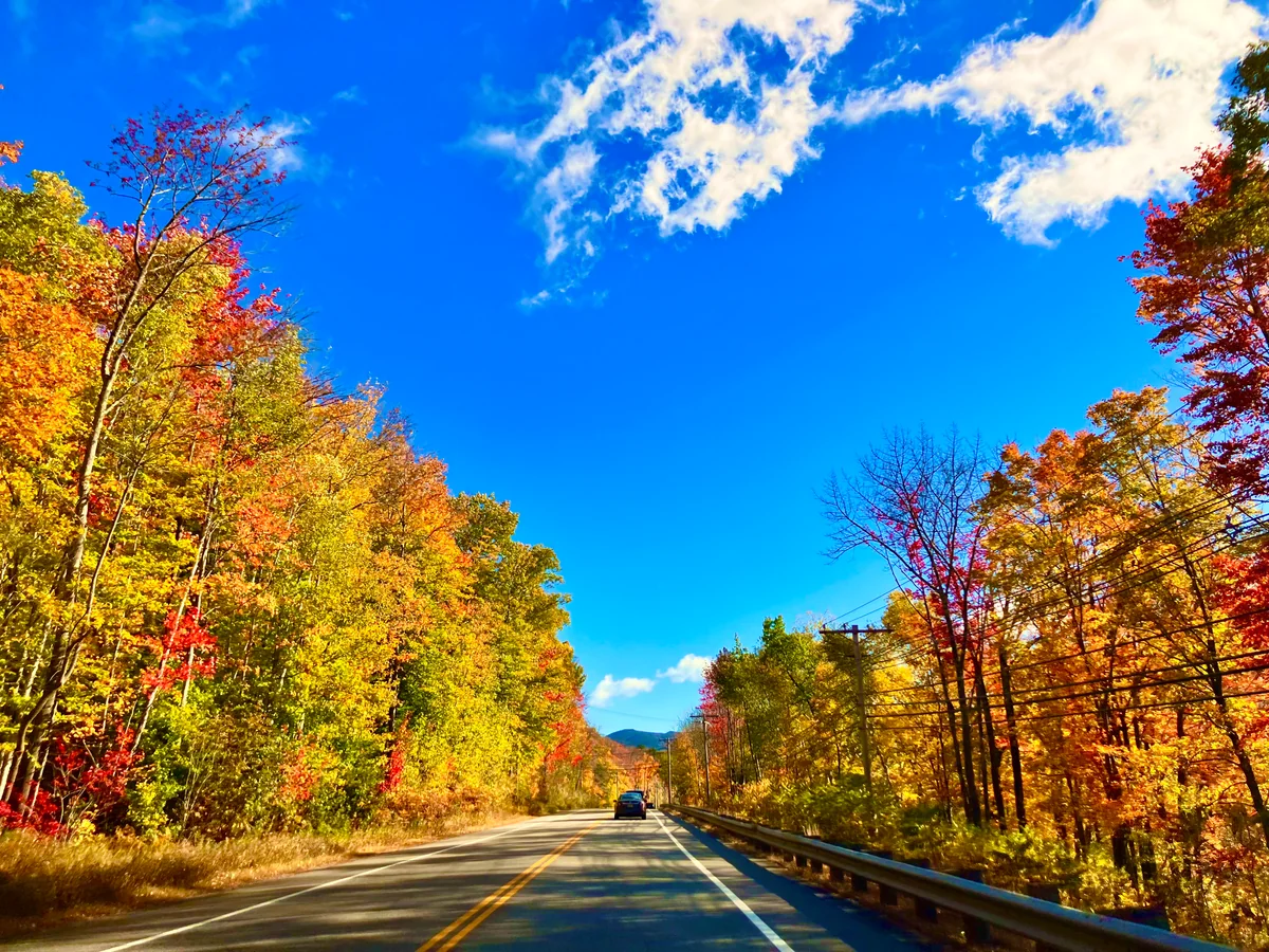 投稿写真：White　mountain