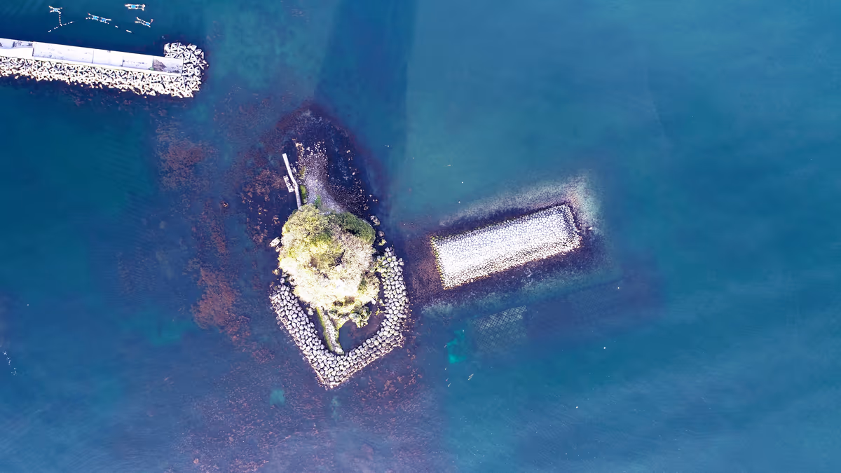投稿写真：Aerial view of KARASHIMA